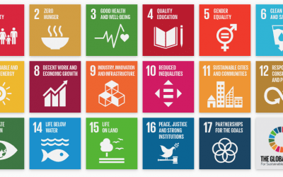 Super Global erhält ESG Second Party Opinion